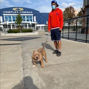 Meet your Posher, Shaan